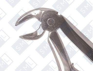 #6 Extraction Forceps – Ash Lower Molar