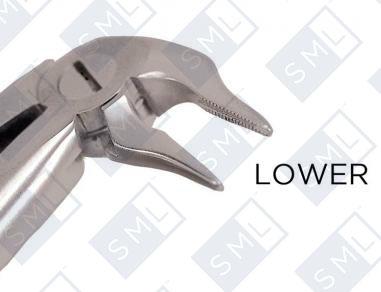 Root-Tip Extraction Forceps