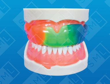 Intact® Adult Mouthguard